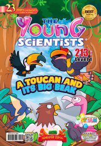 Young scientists level 1 magazine